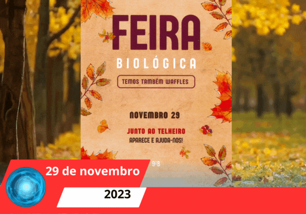 Read more about the article FEIRA BIOLÓGICA PROMOVIDA PELO 9º B